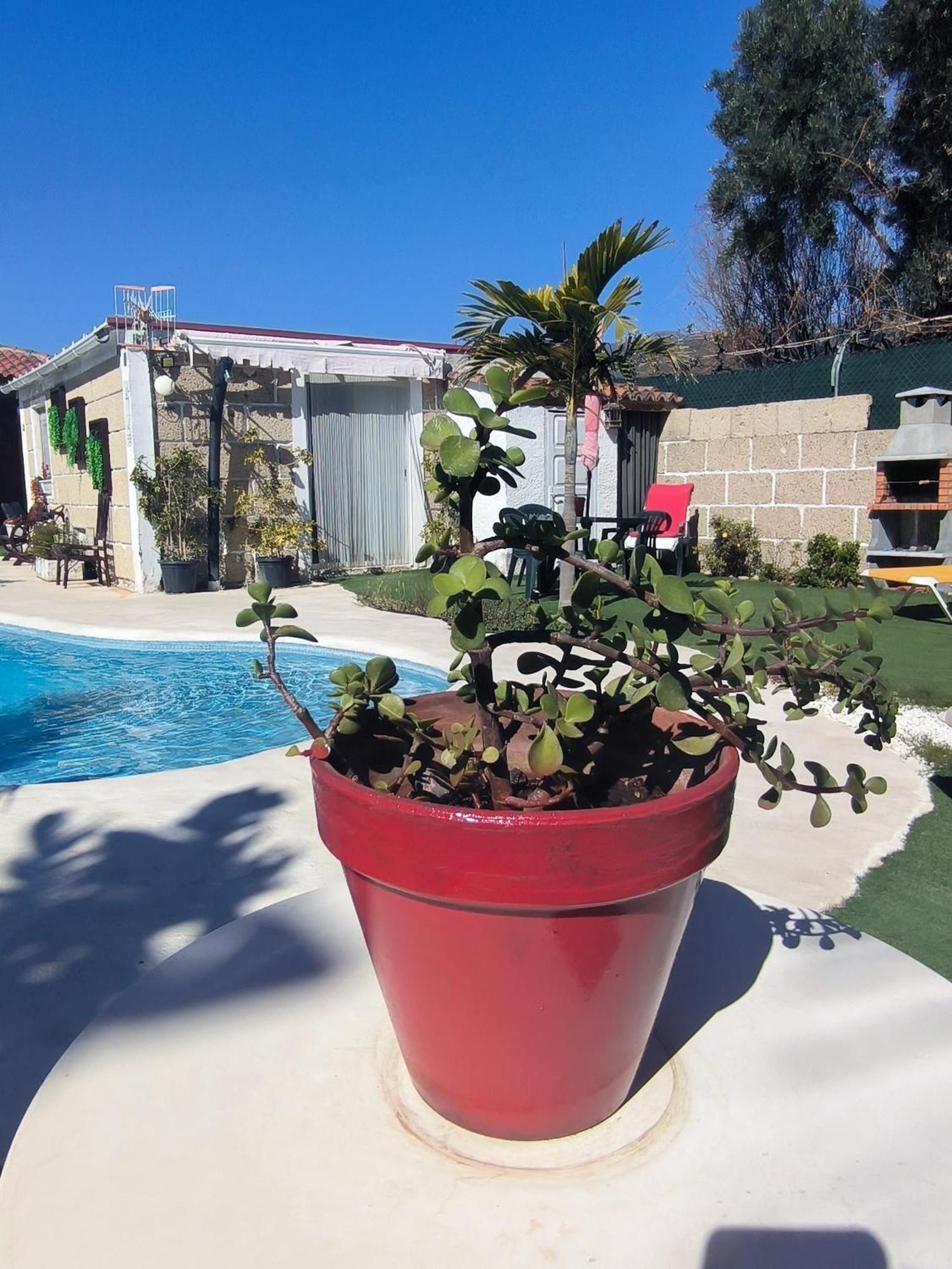 Villa Daita 2 Villa Daita 3 Granadilla De Abona Ngoại thất bức ảnh