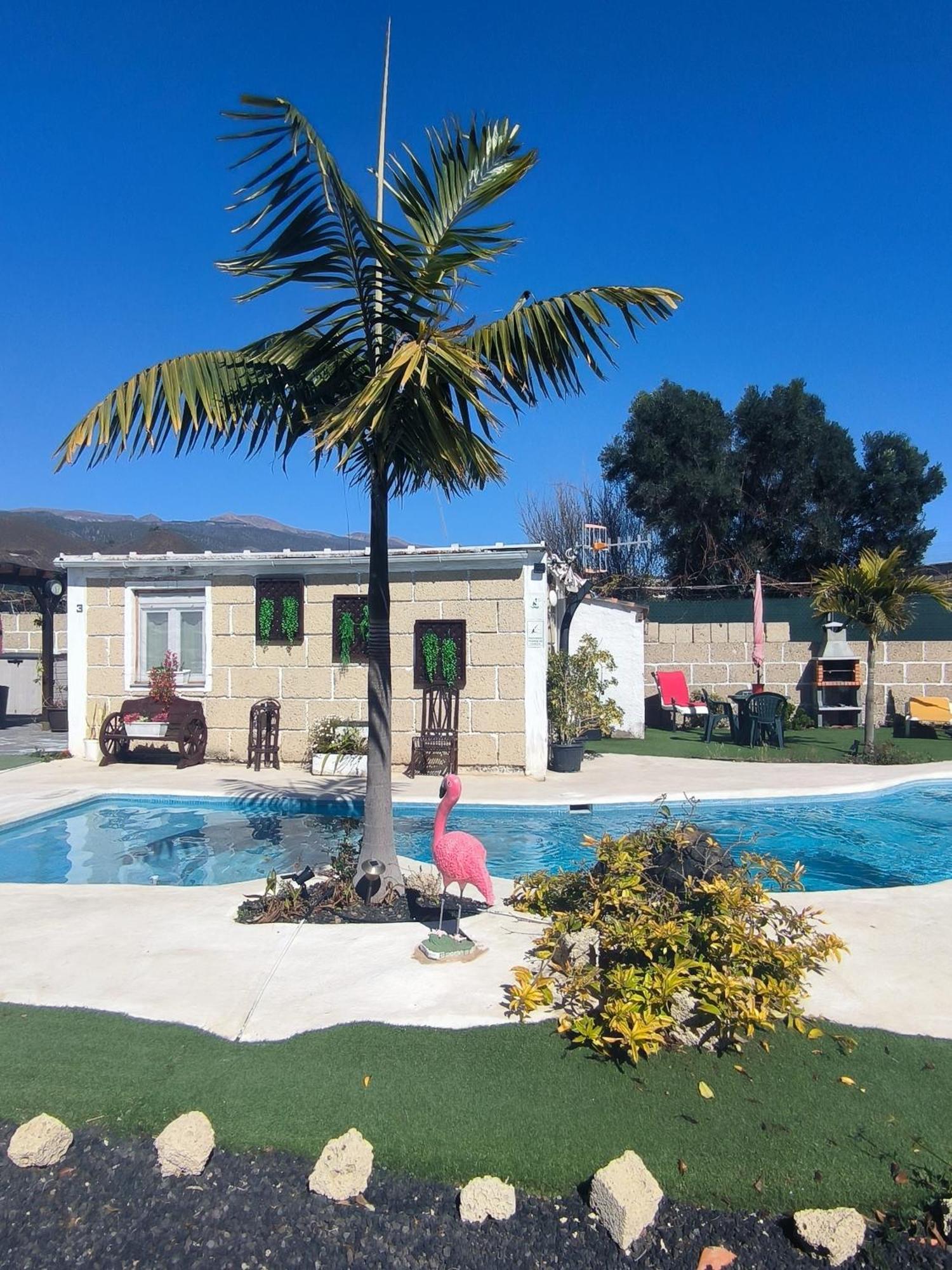 Villa Daita 2 Villa Daita 3 Granadilla De Abona Ngoại thất bức ảnh