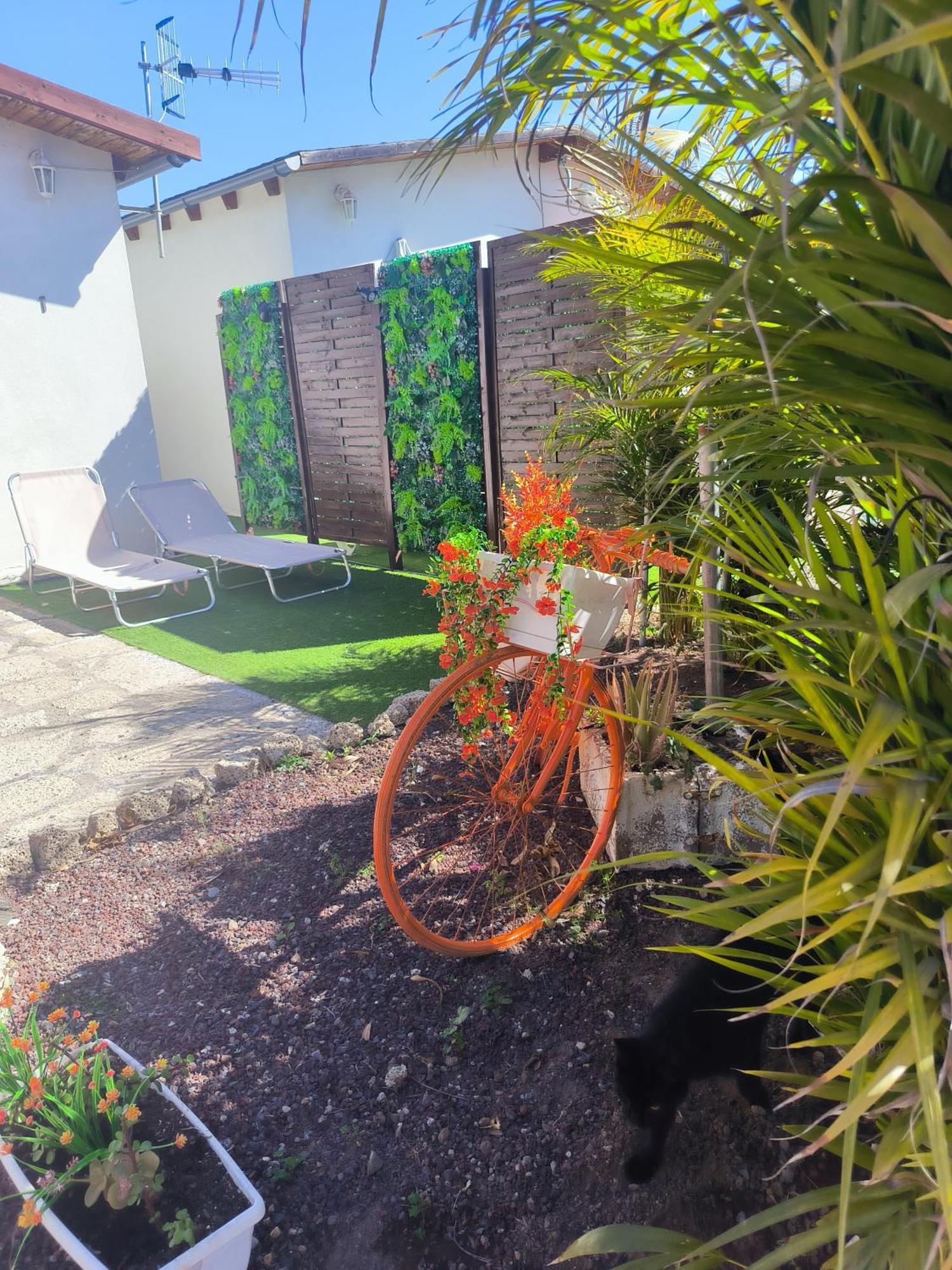Villa Daita 2 Villa Daita 3 Granadilla De Abona Ngoại thất bức ảnh