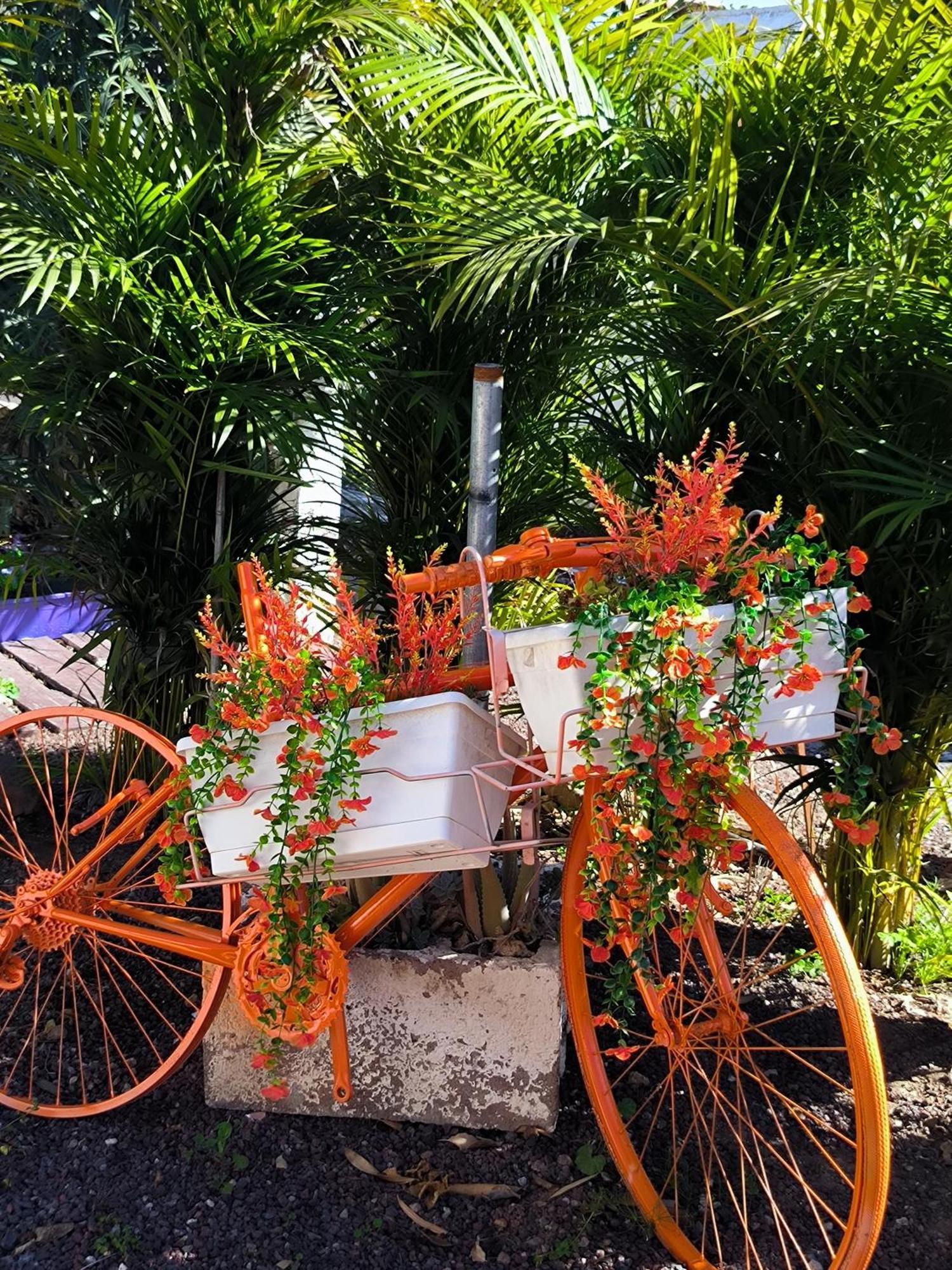 Villa Daita 2 Villa Daita 3 Granadilla De Abona Ngoại thất bức ảnh